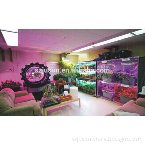 High Quality Epistar LED Grow Light 300W 360 Degree Lighting For Greenhouse Grow Tent